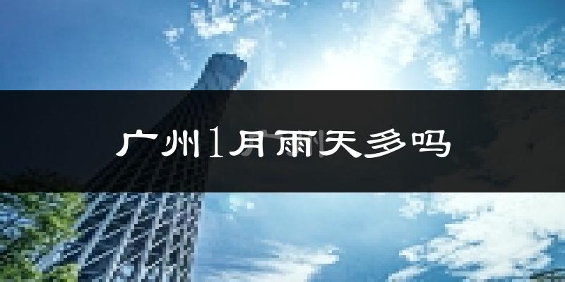 广州1月雨天多吗?
