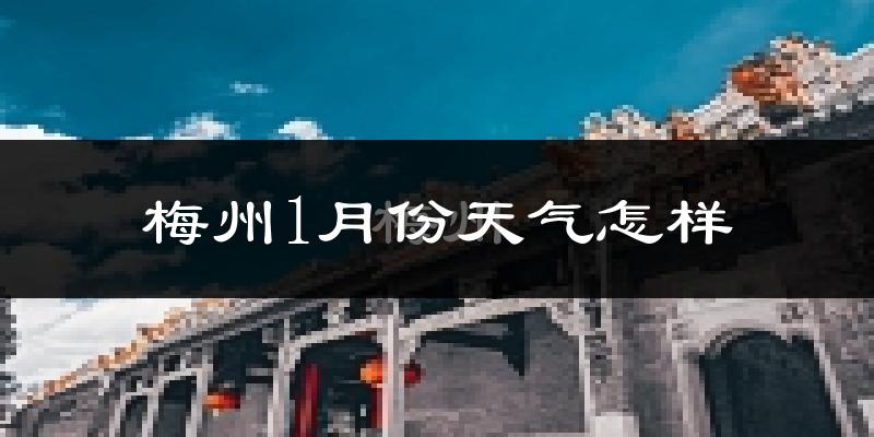 梅州市1月份天气如何?冷吗?过去两年1月天气数据分析