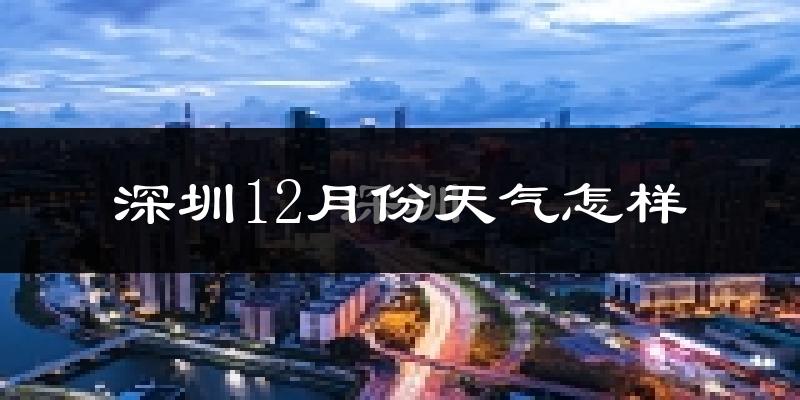 深圳12月份天气怎样?深圳十二月冷吗?