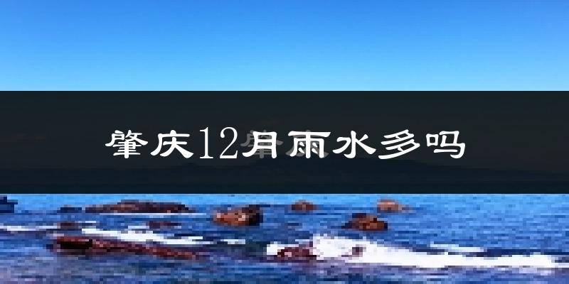 肇庆12月雨水多吗?