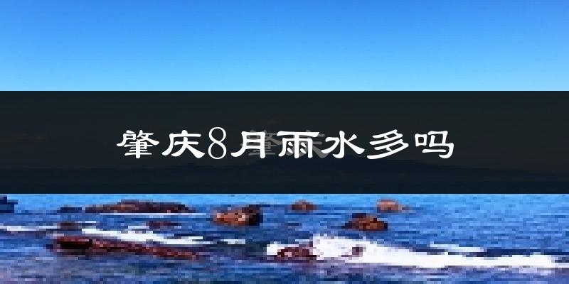 肇庆8月雨水多吗?