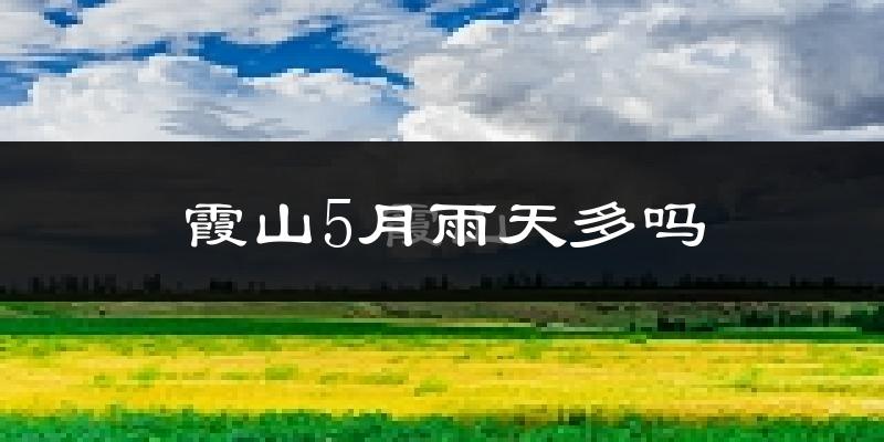 霞山5月雨天多吗?