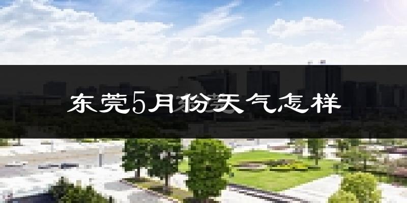 东莞5月天气如何?很热吗?