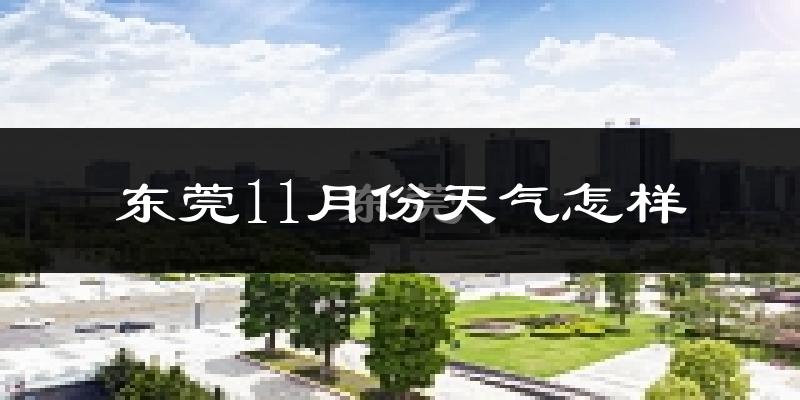 东莞11月份天气怎样?东莞十一月冷不冷?