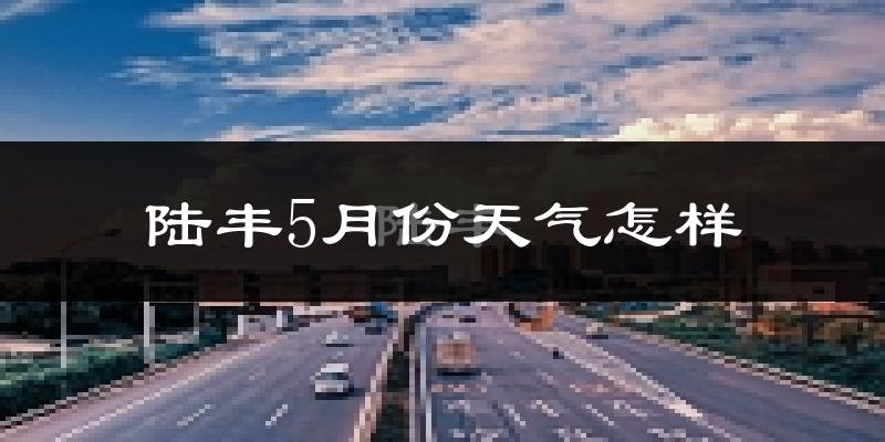 陆丰市5月份天气如何?很热吗?