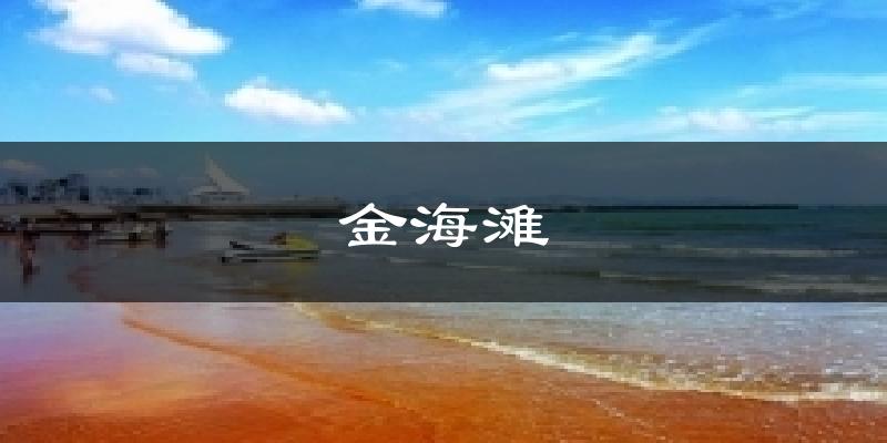 金海滩天气预报十五天