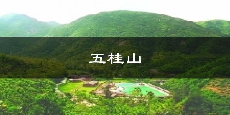 五桂山天气预报十五天