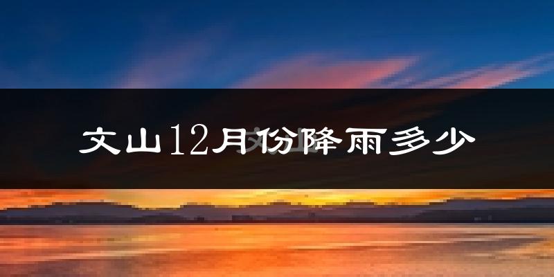 文山12月份降雨多少?
