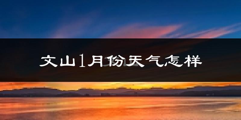 文山市1月份天气如何?很冷吗?