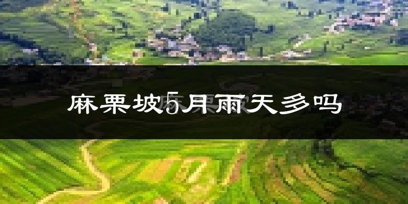 麻栗坡5月雨天多吗?