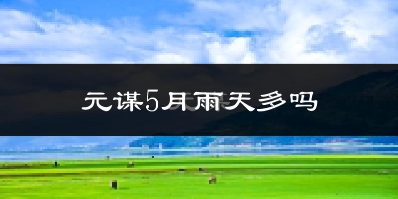 元谋5月雨天多吗?