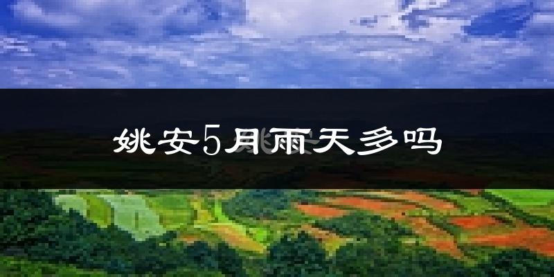 姚安5月雨天多吗?