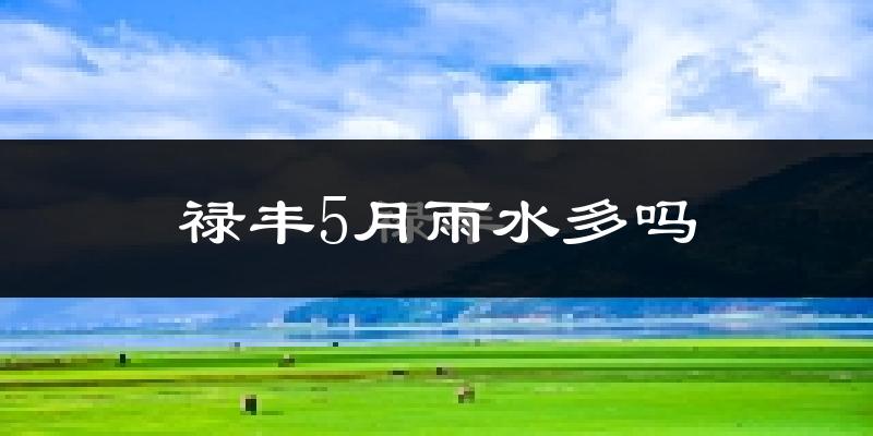 禄丰5月雨水多吗?
