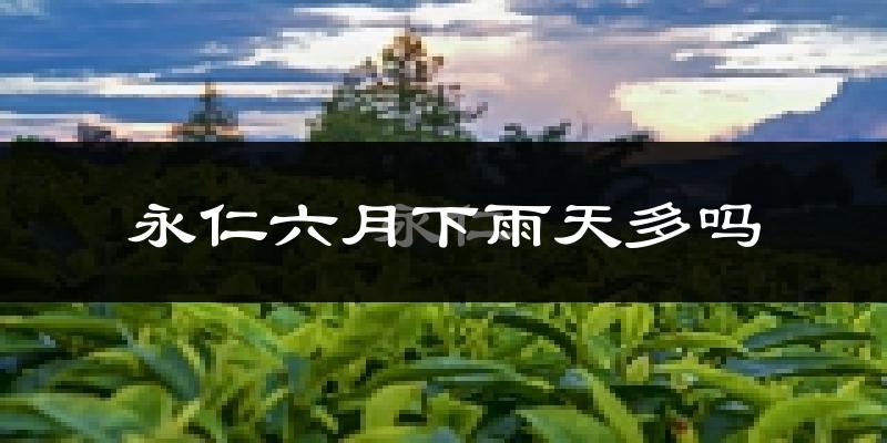 永仁六月下雨天多吗?永仁6月份降雨量多少?