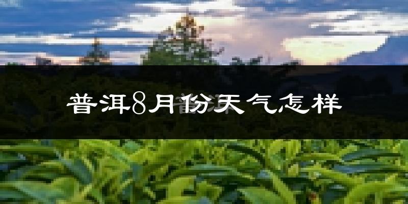 普洱市8月份天气如何?很热吗?