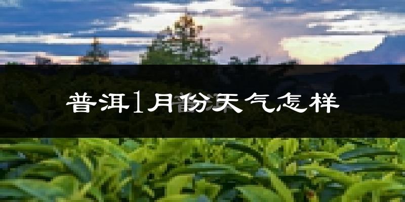 普洱市1月份天气如何?冷吗?