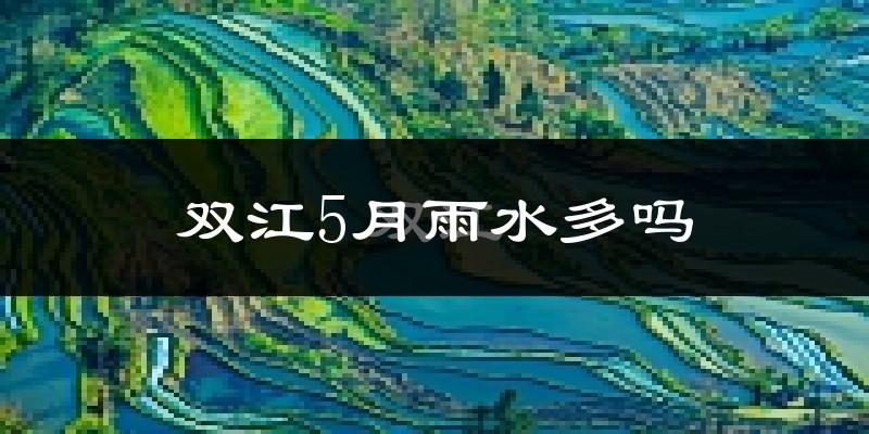双江5月雨水多吗?