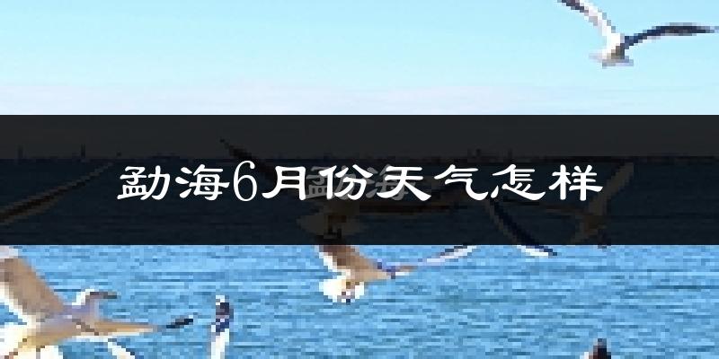 勐海县6月份天气如何?很热吗?