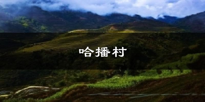 哈播村天气预报十五天