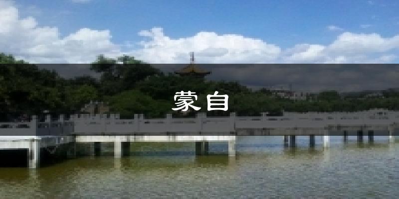 蒙自天气预报十五天