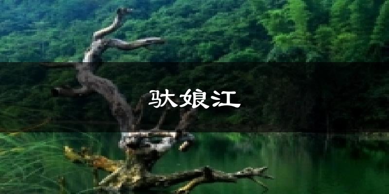 驮娘江天气预报十五天