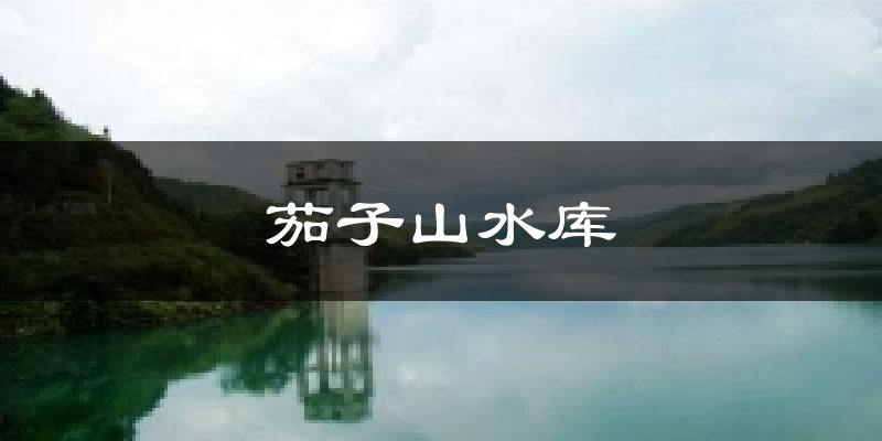茄子山水库天气预报十五天