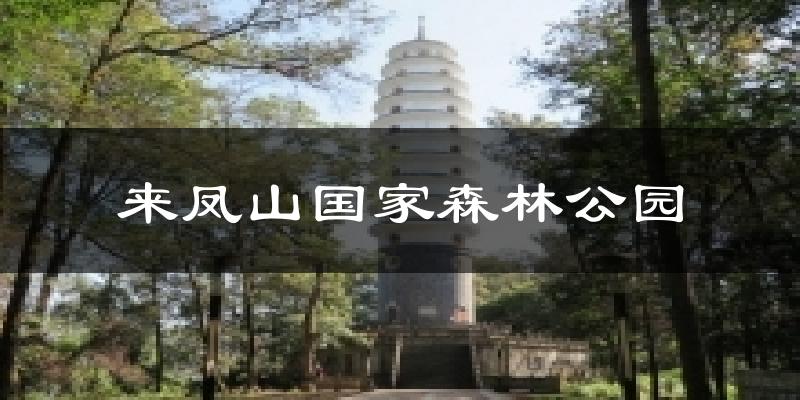 来凤山国家森林公园天气预报十五天