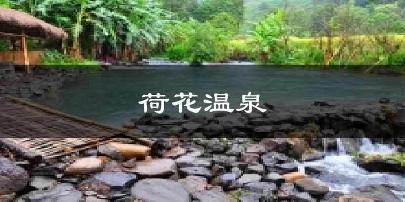 荷花温泉天气预报十五天
