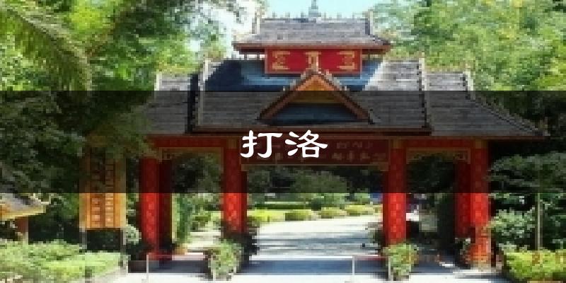打洛天气预报十五天