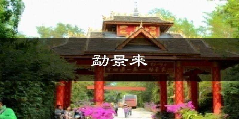 勐景来天气预报十五天