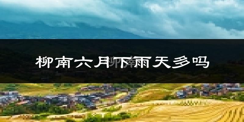 柳南六月下雨天多吗?柳南6月份降雨量多少?