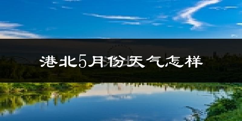 港北5月份天气怎样?港北五月冷吗?
