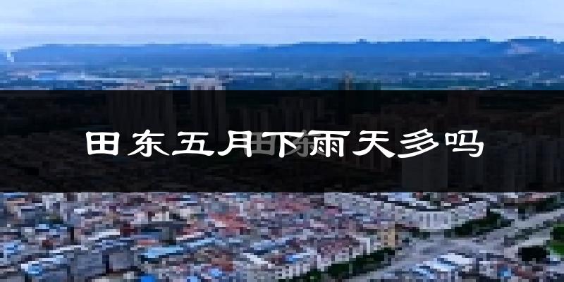 田东五月下雨天多吗?田东5月份降雨量多少?