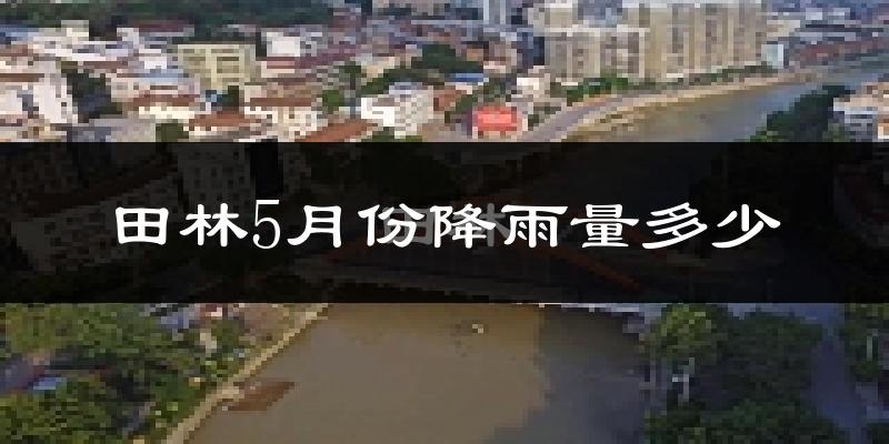 田林5月份降雨量多少?田林五月下雨多吗?