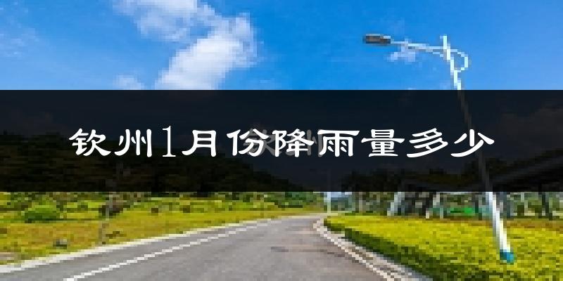 钦州1月份降雨量多少?钦州一月下雨多吗?