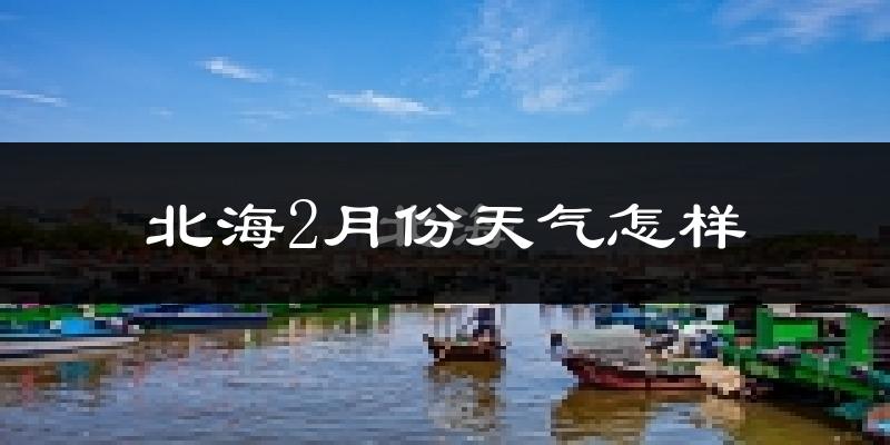 北海市2月份天气如何?冷吗?过去两年天气数据分析