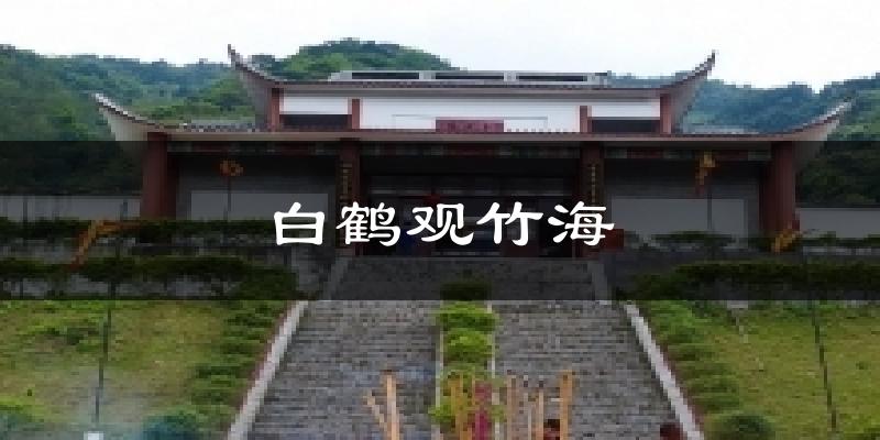 白鹤观竹海天气预报十五天