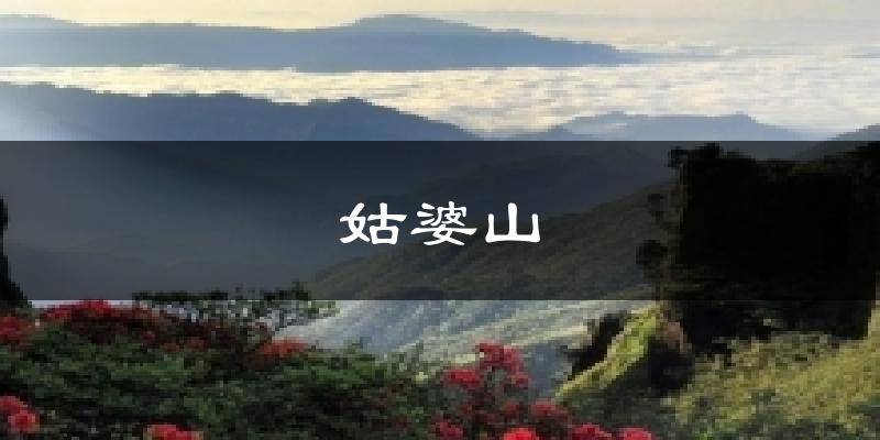 姑婆山天气预报十五天