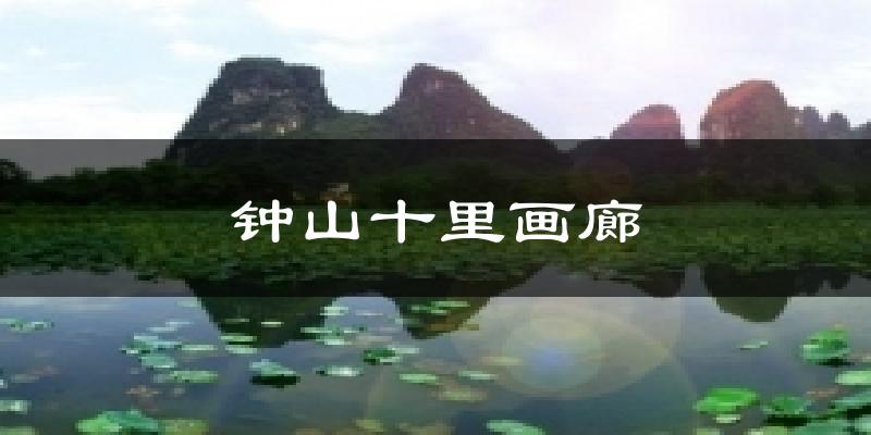 钟山十里画廊天气预报十五天