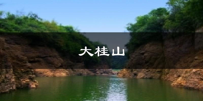 大桂山天气预报十五天