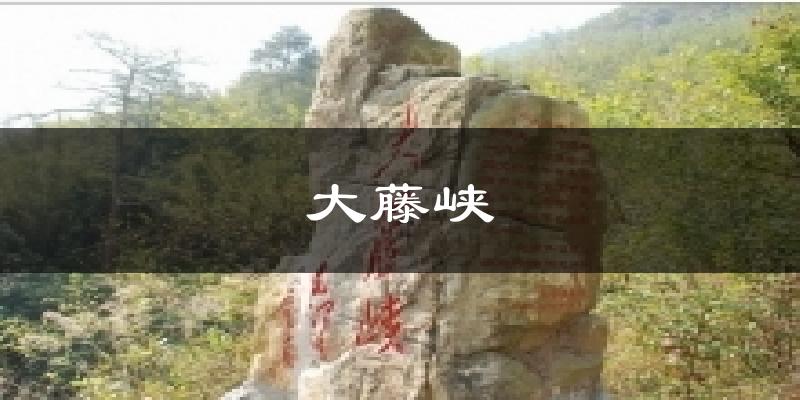大藤峡天气预报十五天