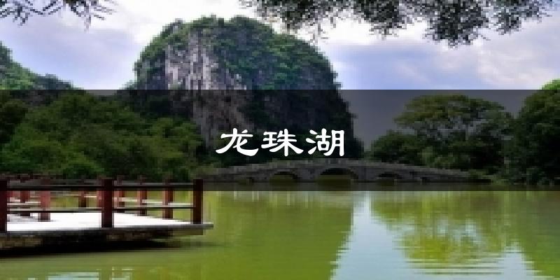 龙珠湖天气预报十五天