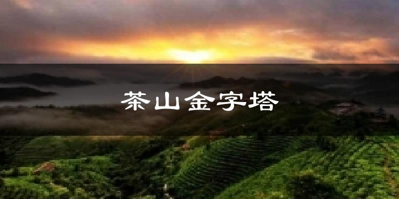 茶山金字塔天气预报十五天