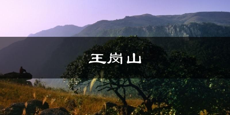 王岗山天气预报十五天