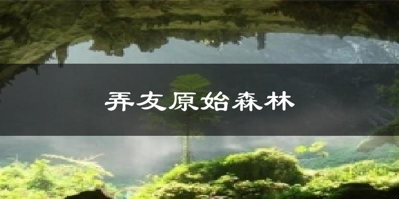 弄友原始森林天气预报十五天