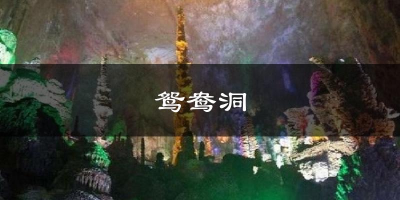 鸳鸯洞天气预报十五天