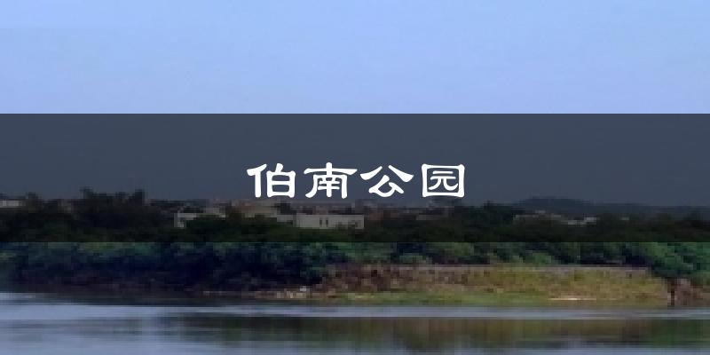 伯南公园天气预报十五天