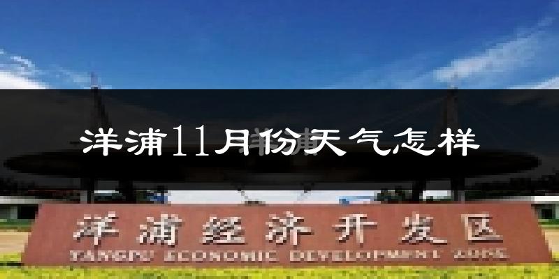 洋浦11月份天气怎样?洋浦十一月冷吗?