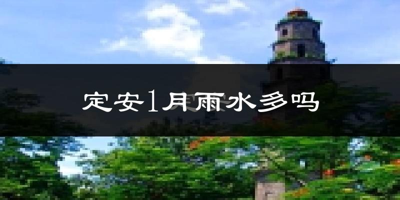 定安1月雨水多吗?