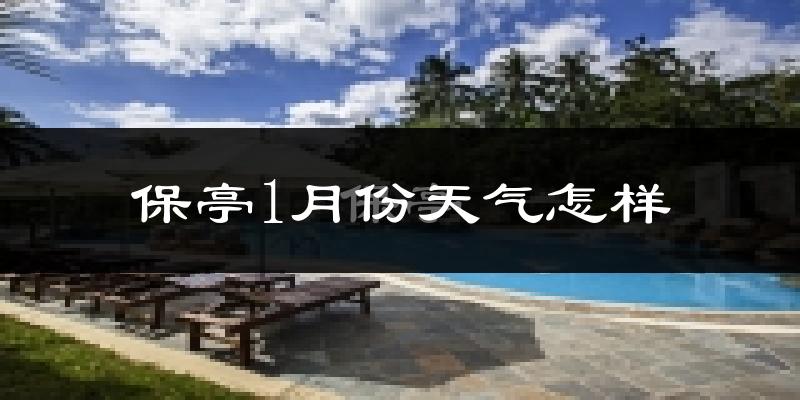 保亭黎族苗族自治县1月份天气如何?冷吗?